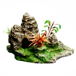 Landscape II