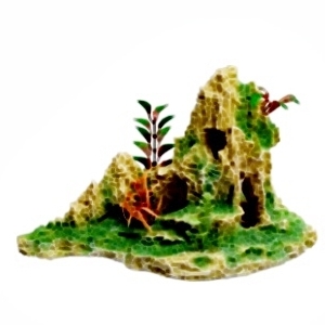 Landscape V