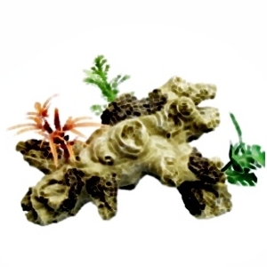 Mini Branch II