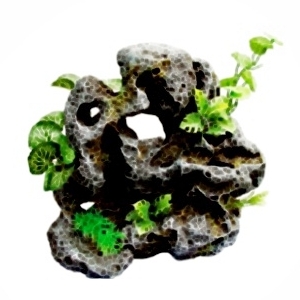 Mini Branch VI