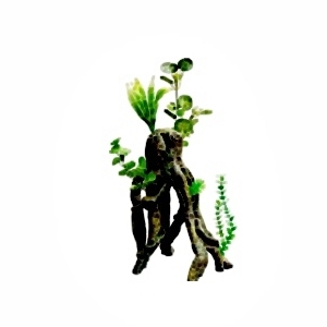 Mini Branch VII
