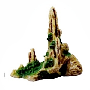 Landscape X