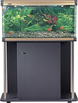 Luxury Aquarium