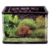 Mini Aquarium (No Cover)