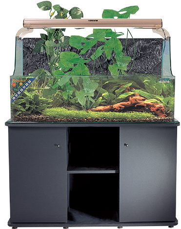 Aquarium (with stand)