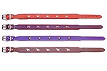 Leather Leads and Collars