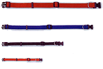 Nylon Leads and Collars